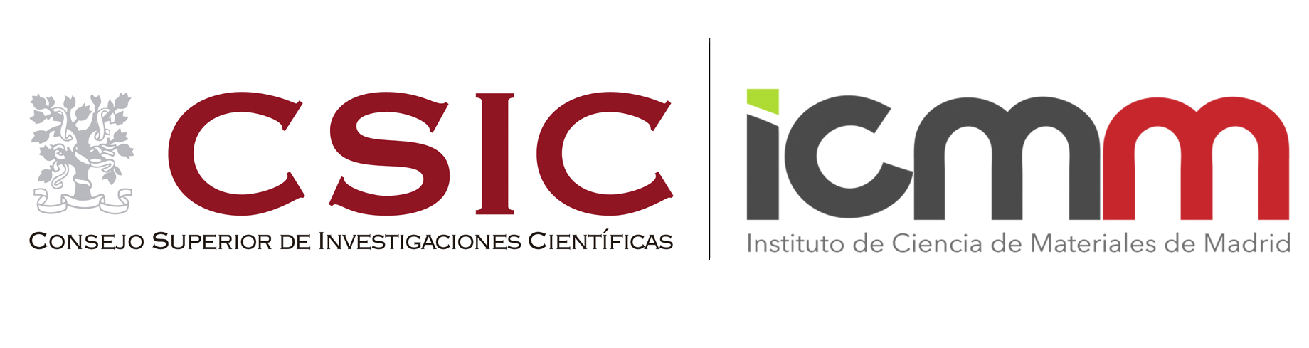 CSIC-ICMM:  SPANISH NATIONAL RESEARCH COUNCIL (CSIC), MATERIALS SCIENCE INSTITUTE OF MADRID (ICMM)